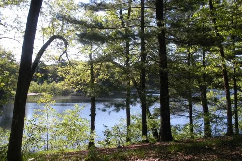 Adventure Bound Camping Resorts - West Michigan