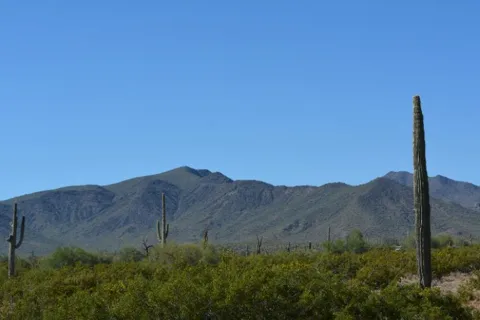 West Pinal Park