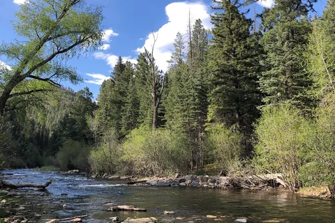 Bert Clancy - Pecos Canyon State Park