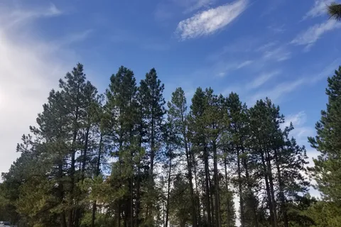 Bert Clancy - Pecos Canyon State Park