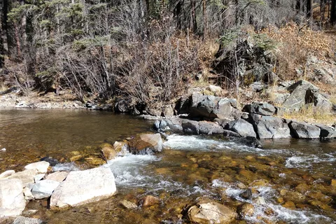 Bert Clancy - Pecos Canyon State Park