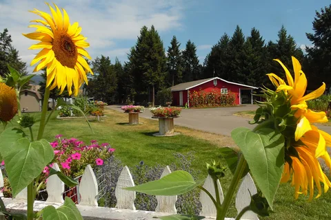 Jim and Mary's RV Park