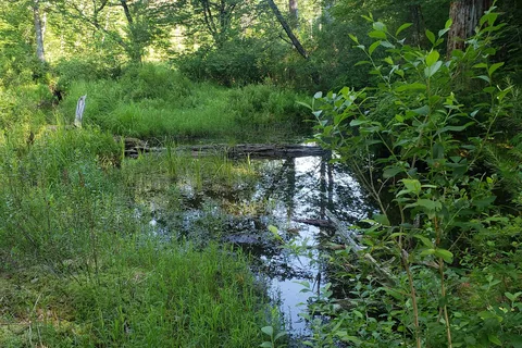 White Lake State Park