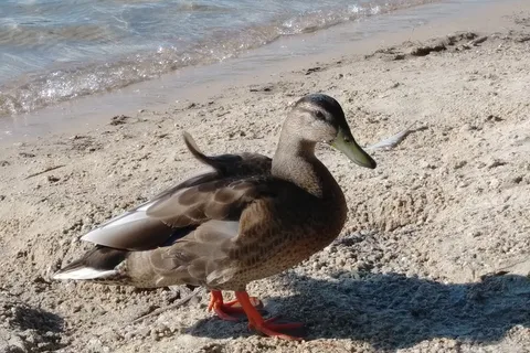 White Lake State Park
