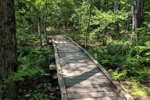 White Lake State Park