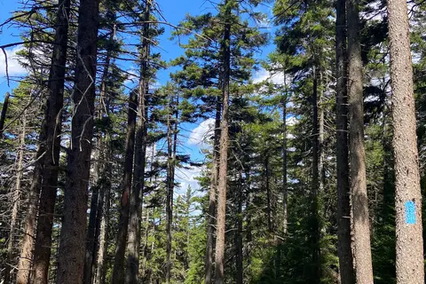 Camden Hills State Park