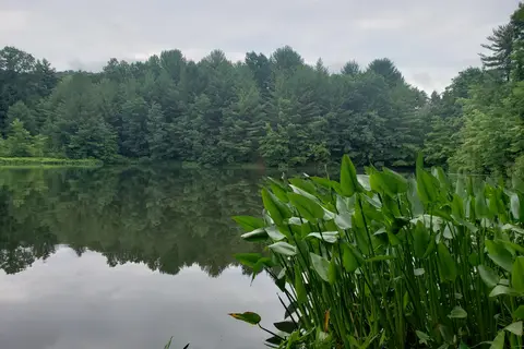 Woodland Campground
