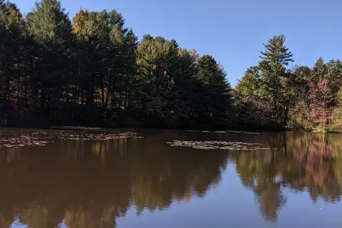 Woodland Campground