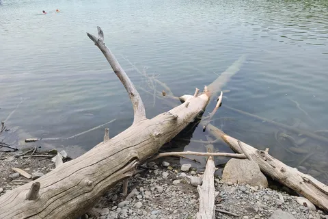 Kikomun Creek Provincial Park