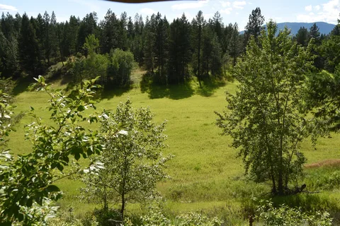 Kikomun Creek Provincial Park