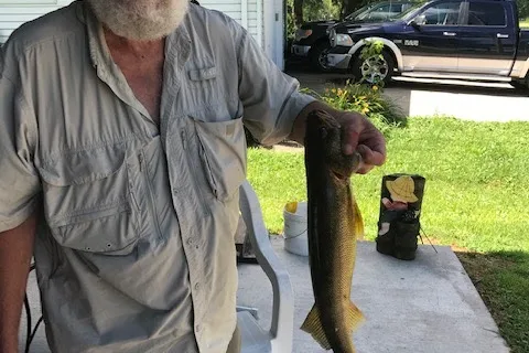 Bluejay Fishing and Camping Resort