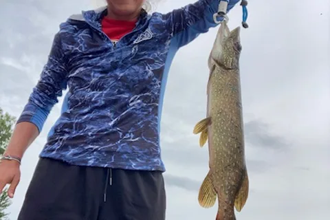 Bluejay Fishing and Camping Resort