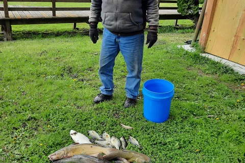Bluejay Fishing and Camping Resort