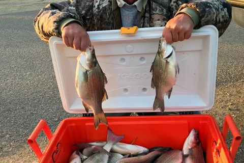 Bluejay Fishing and Camping Resort