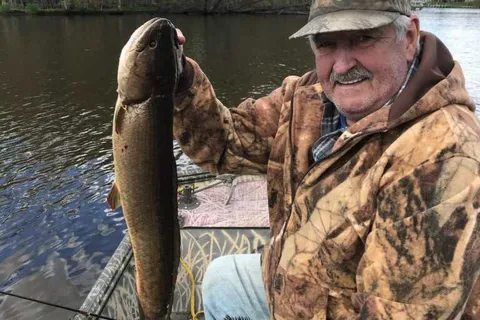 Bluejay Fishing and Camping Resort