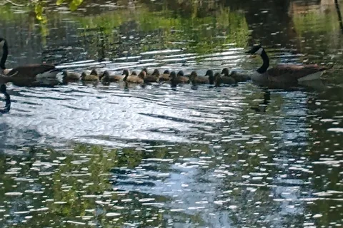 Lower Beverley Lake Township Park
