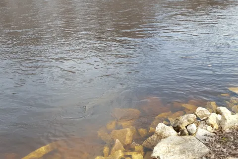 Wolf River Campgrounds