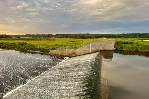 Coal Lake South Provincial Recreational Area