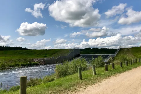 Coal Lake South Provincial Recreational Area