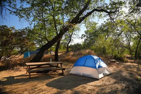 Sequoia Mountain Farms