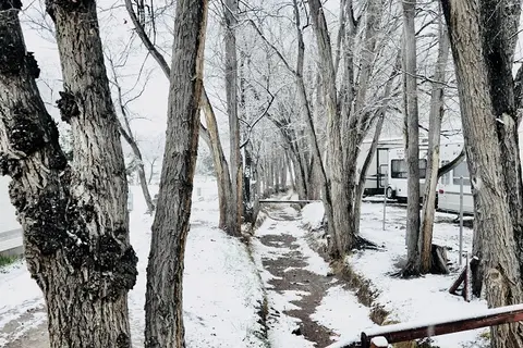 St Johns RV Resort