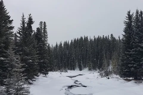 Graveyard Lake - William A Switzer Provincial Park