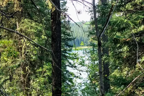 Graveyard Lake - William A Switzer Provincial Park
