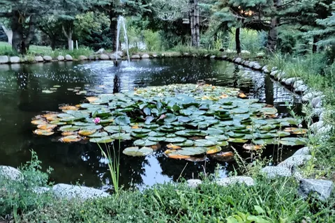 Silverline Lakeside Resort