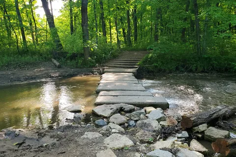 Nerstrand Big Woods State Park
