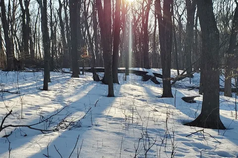 Nerstrand Big Woods State Park