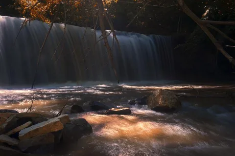 Nerstrand Big Woods State Park