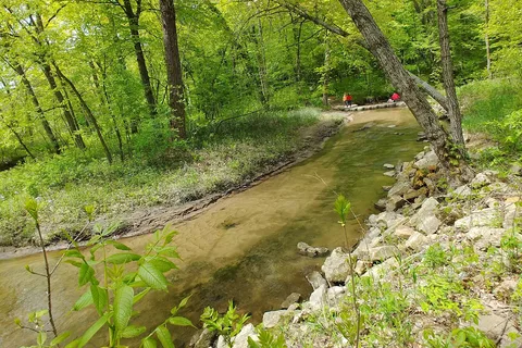 Nerstrand Big Woods State Park