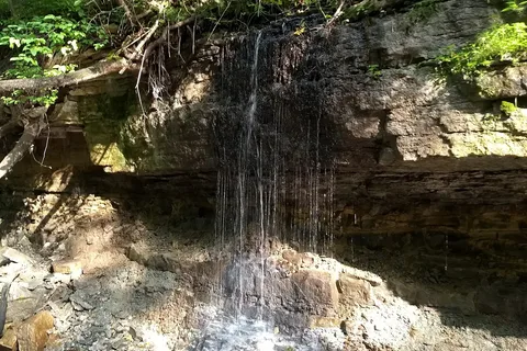 Nerstrand Big Woods State Park