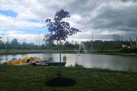 Niagara Falls / Grand Island KOA Holiday