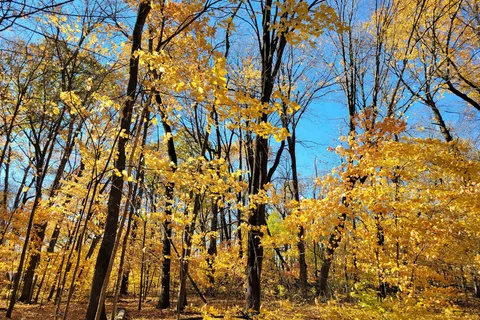Rice Lake State Park