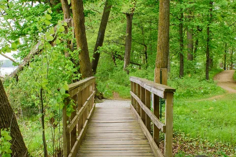 Rice Lake State Park
