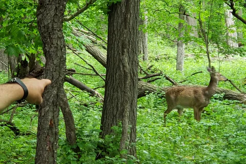 Rice Lake State Park