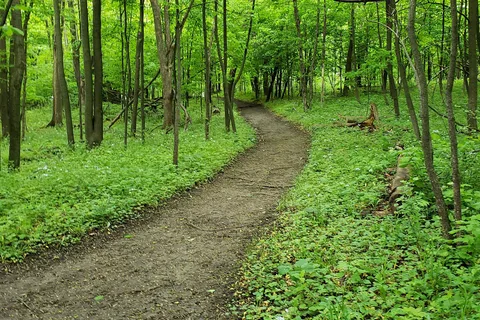 Rice Lake State Park