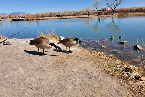 Isleta Lakes and RV Park