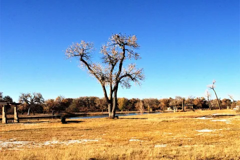 Isleta Lakes and RV Park