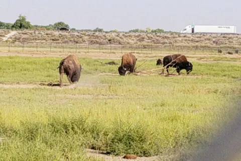 Isleta Lakes and RV Park