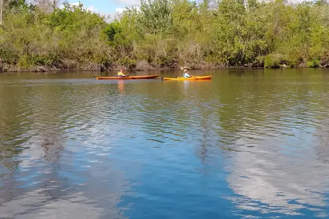Lettuce Lake Travel Resort