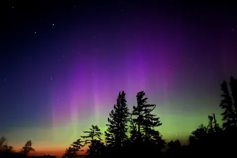 The Pines of Kabetogama