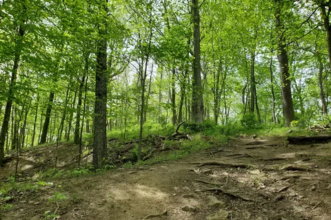 Great Seal State Park