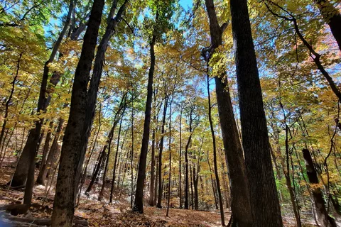 Great Seal State Park