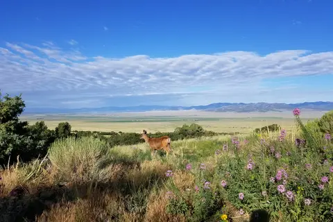 Valley View Hot Springs