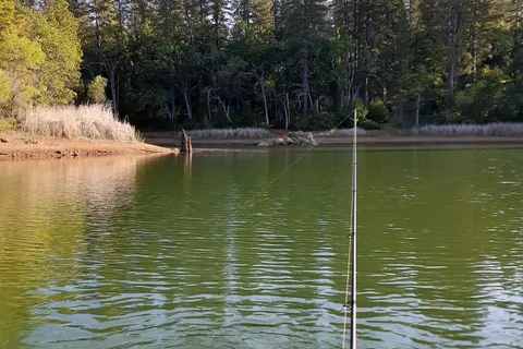 Lake Francis Resort