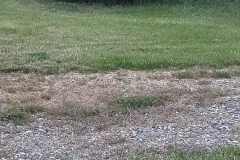 Grandview Campground and RV Park