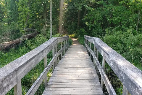 Crooked Lake - Pinckney State Recreation Area