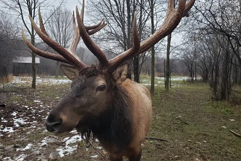 Auburn Riverside Retreat